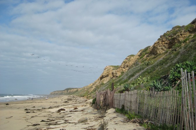 Crystal Cove Fence