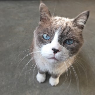 Travel Snapshots Colleen McGuire Happiness Is Community